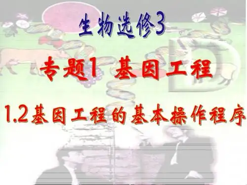 基因工程的基本操作程序3