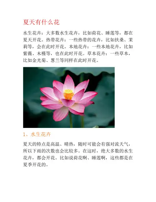 夏天有什么花