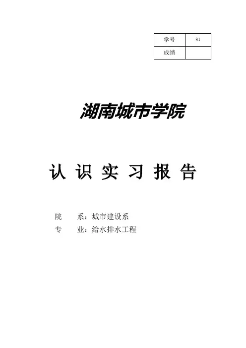 水厂实习报告
