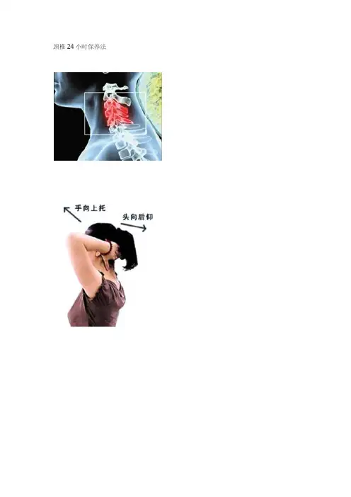 颈椎24小时保养法