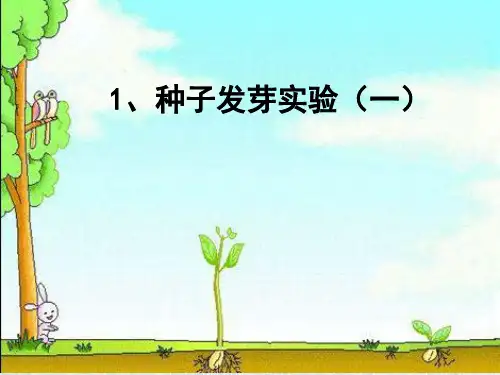五年级上册科学课件-1.1 种子发芽实验(一)｜教科版 (52)(共16张PPT)