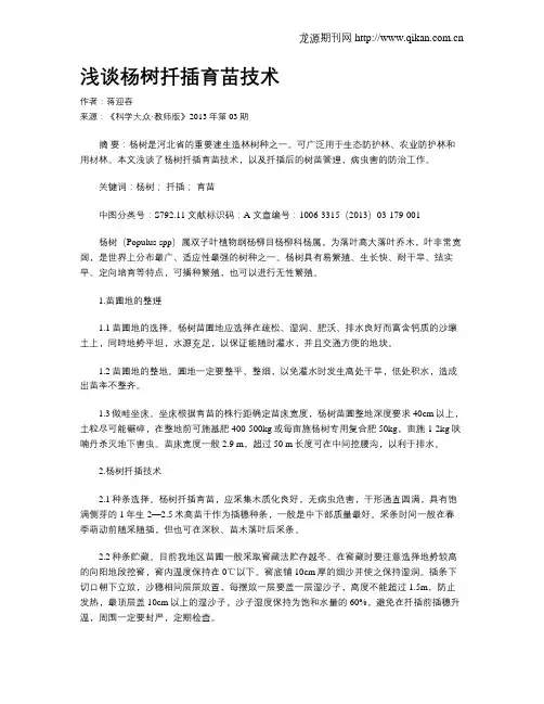 浅谈杨树扦插育苗技术