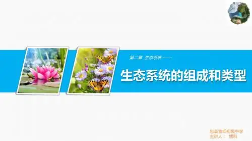 生态系统的组成和类型