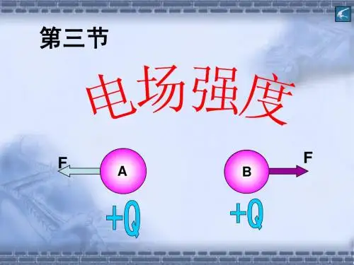 1、3电场强度(精品)
