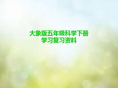 大象版五年级科学下册各单元知识点