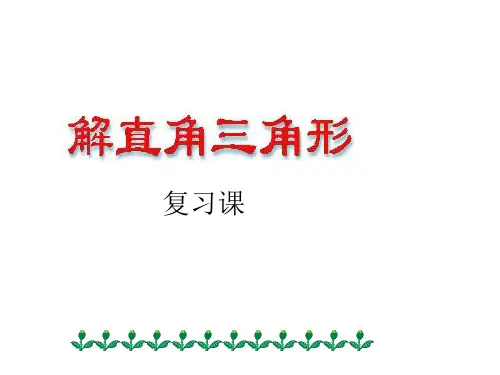 2017锐角三角函数复习课件ppt