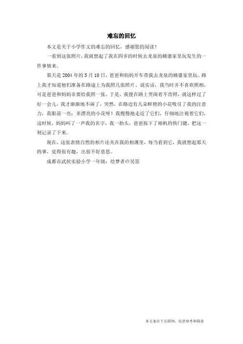 难忘的回忆_小学作文_3