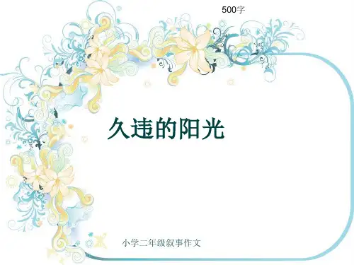 小学二年级叙事作文《久违的阳光》500字