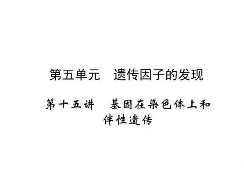 高三生物一轮复习人教版课件第5单元第15讲基因在染色体上和伴性遗传