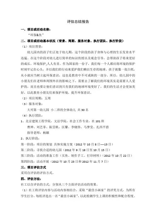 项目评估报告