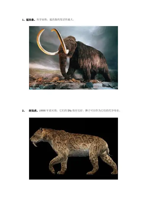 远古灭绝生物
