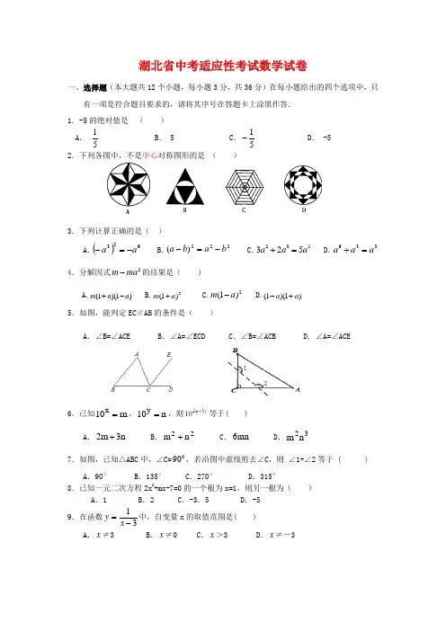 2016年湖北省中考适应性考试数学试卷(附答案)