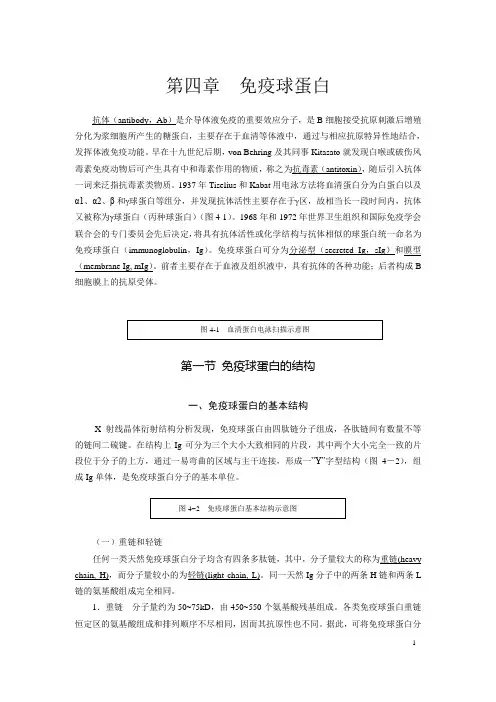 第4章 免疫球蛋白