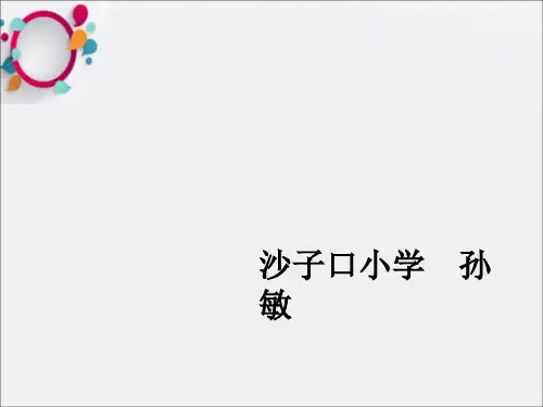《鲜花和星星孙敏》PPT课件
