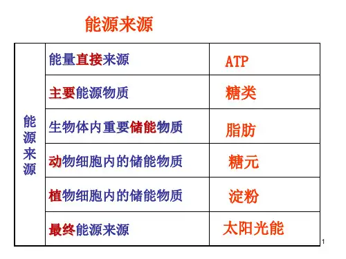 高一生物必修一细胞呼吸ppt
