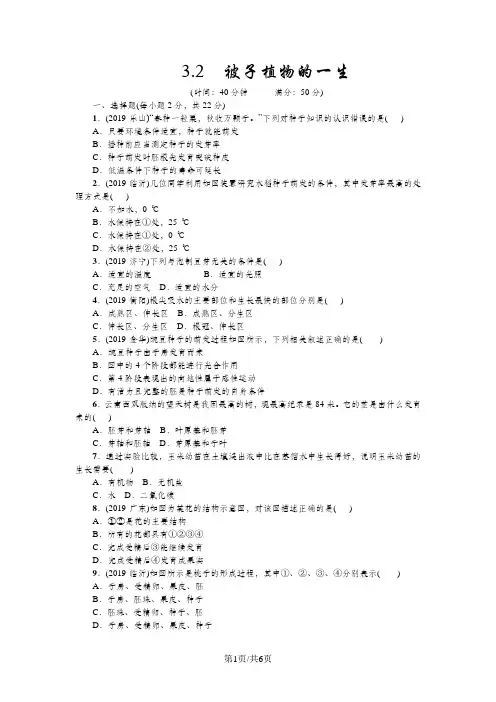生物七年级上人教版3.2被子植物的一生章节检测及答案
