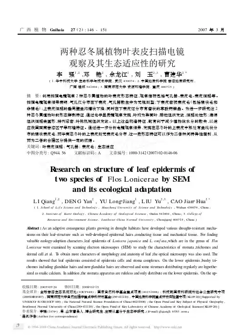 两种忍冬属植物叶表皮扫描电镜观察及其生态适应性的研究