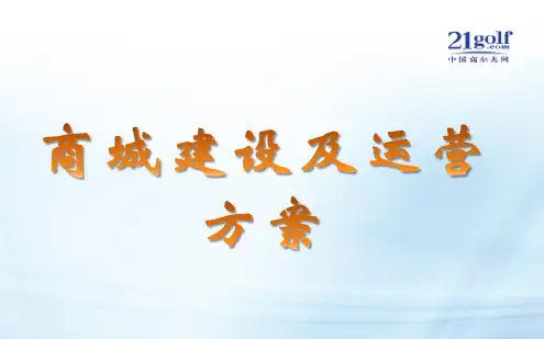 商城建设及运营方案分析
