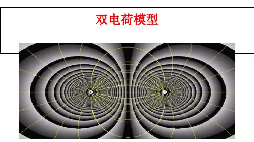 高三物理复习：双电荷模型