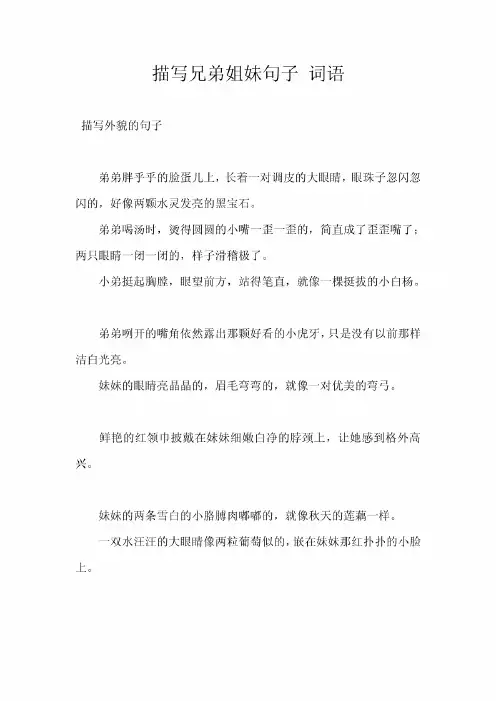 描写兄弟姐妹句子词语