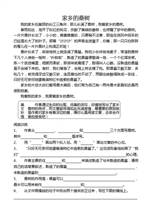 家乡的桑树