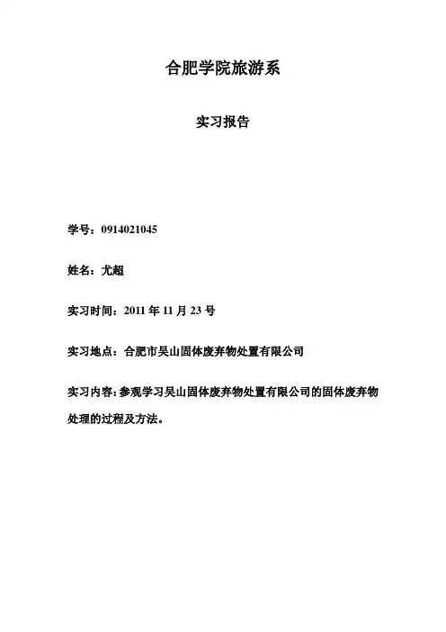 固体废物的处理方法