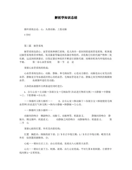 解剖学知识总结