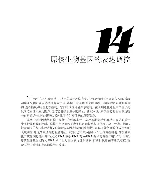 乳糖操纵子