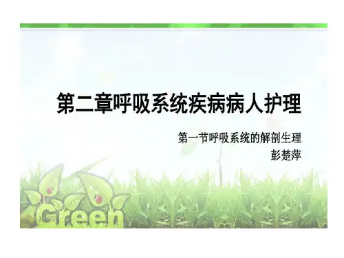呼吸系统解剖生理共32页文档