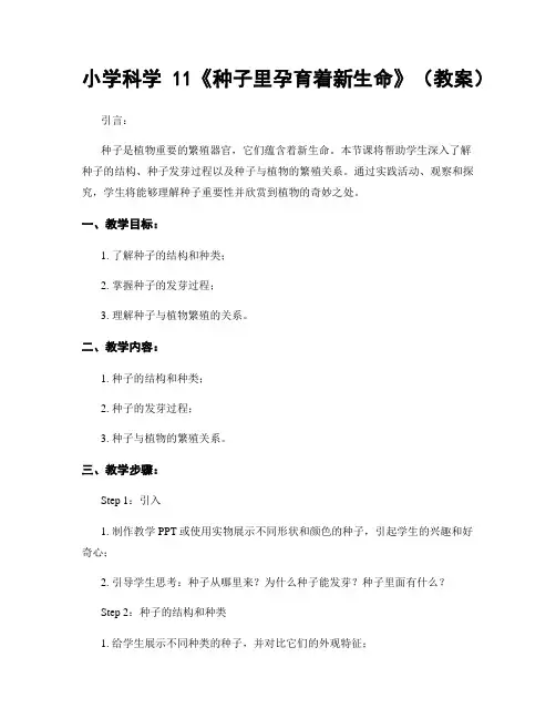 小学科学11《种子里孕育着新生命》(教案)