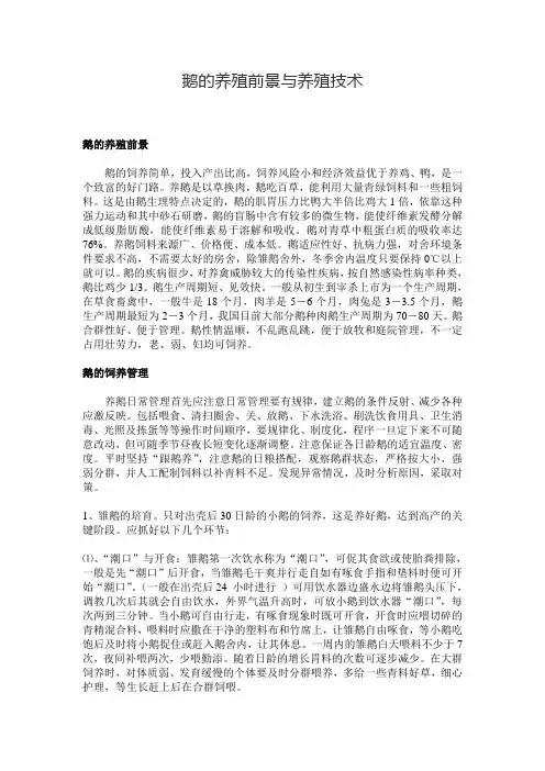 鹅的养殖前景与养殖技术