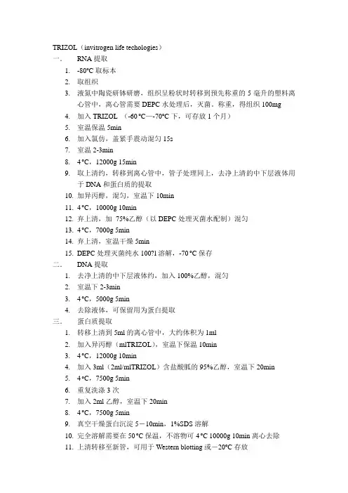 TRIZOL同时提取RNA和蛋白 2