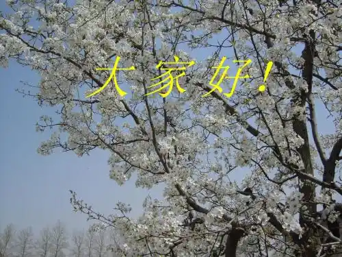 安全员上课