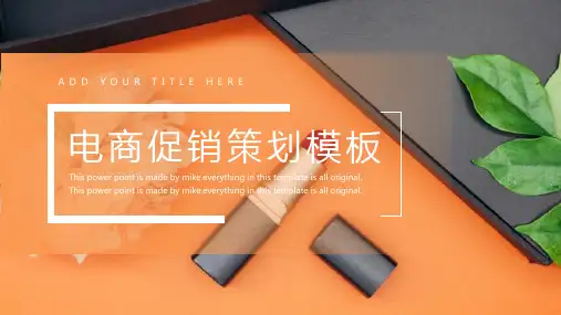 时尚风电商促销策划PPT模板