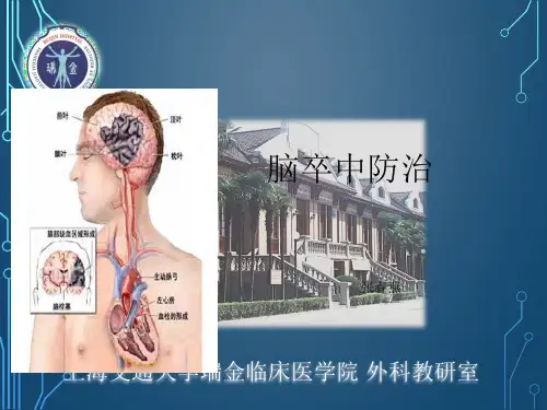 脑卒中防治
