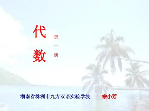 代数式4