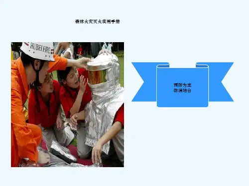 森林防火基础知识