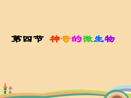 八年级生物神奇的微生物PPT优秀课件