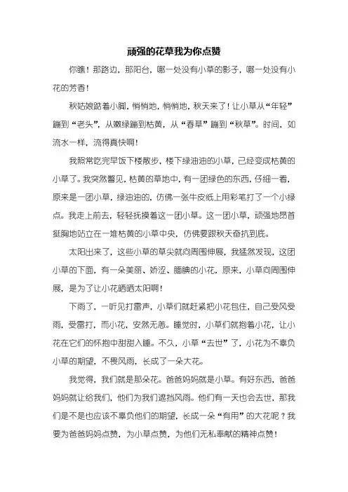 六年级作文：顽强的花草我为你点赞作文550字