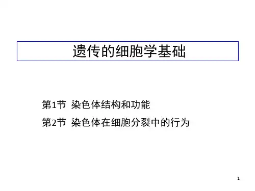 遗传的细胞学基础(5)