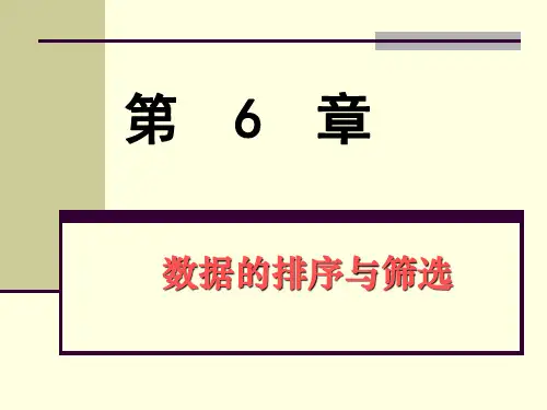excel办公及商务应用第六章数据的排序与筛选