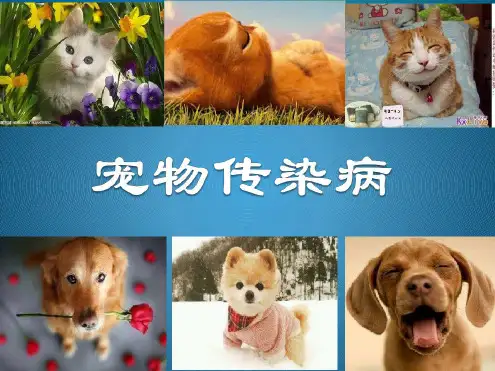 宠物传染病概述