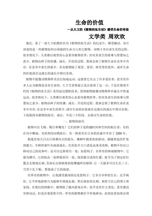 生命的价值