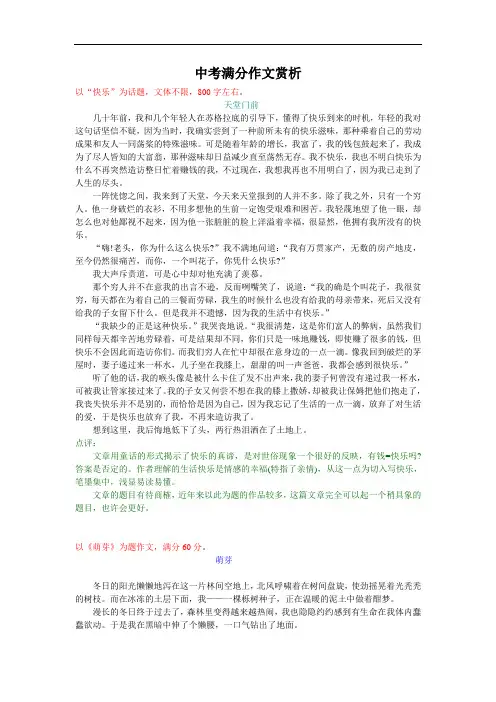 衡阳市中考满分作文-中考满分作文赏析