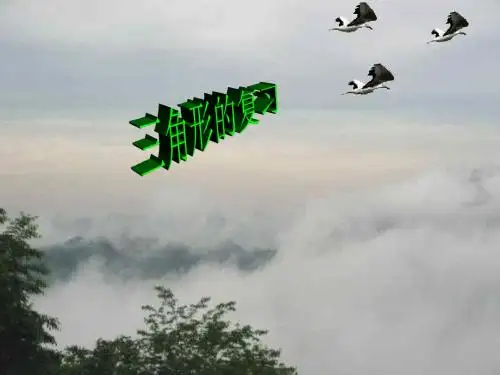 全等三角形的复习