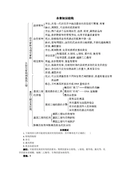 人教课标版高中生物必修2第6章《从杂交育种到基因工程》单元测评