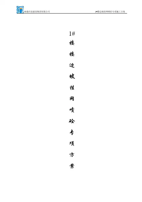 边坡挂网喷浆专项施工方案