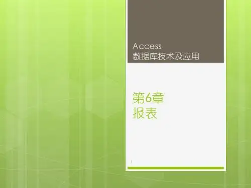 Access数据库技术及应用(2010版)第6章-报表