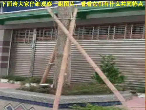 认识三角形3优质课件PPT