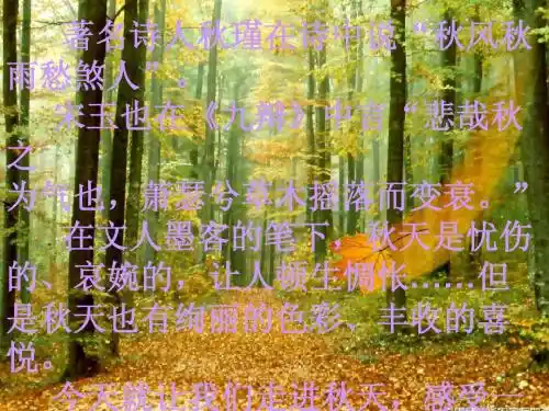 14、秋天